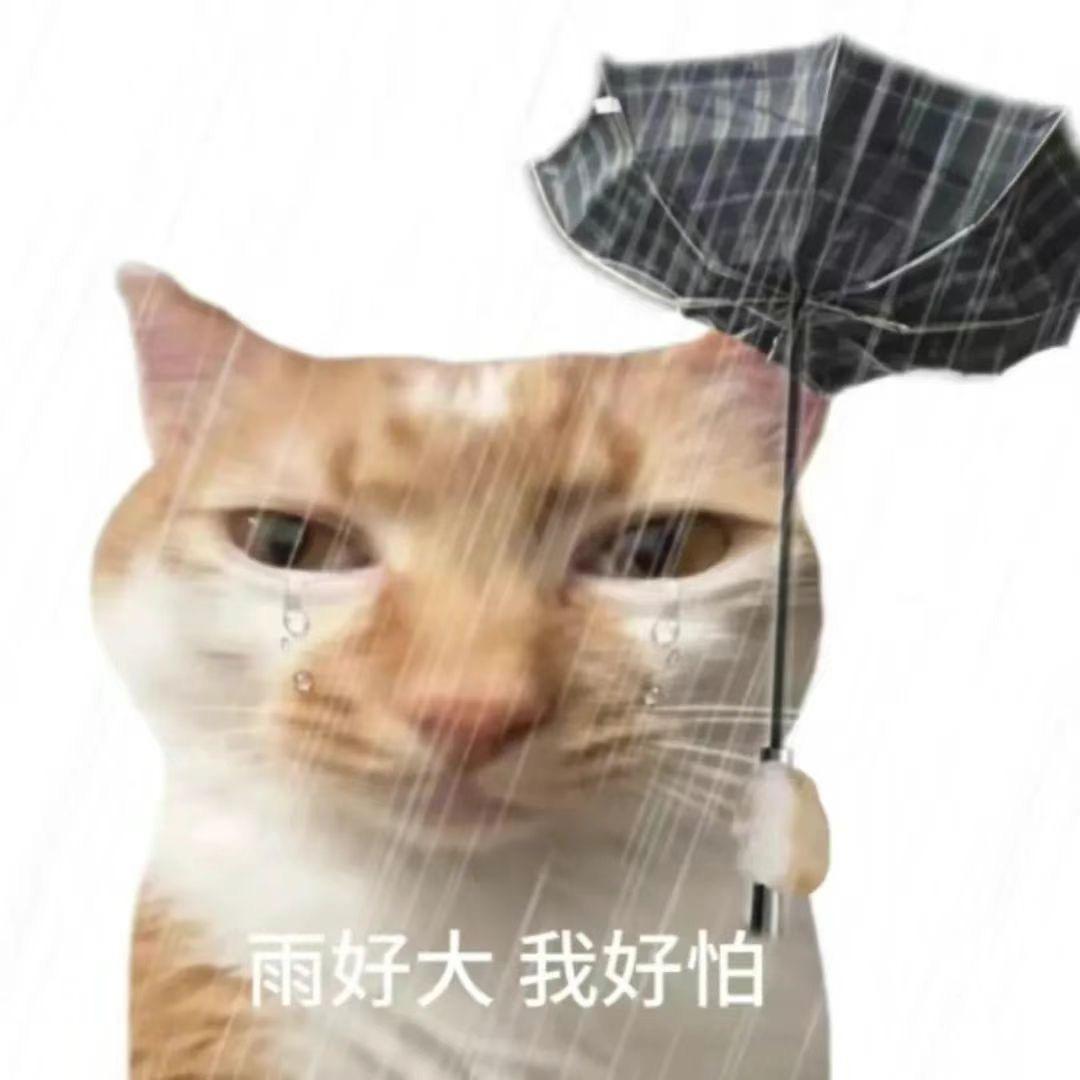 早上嚎