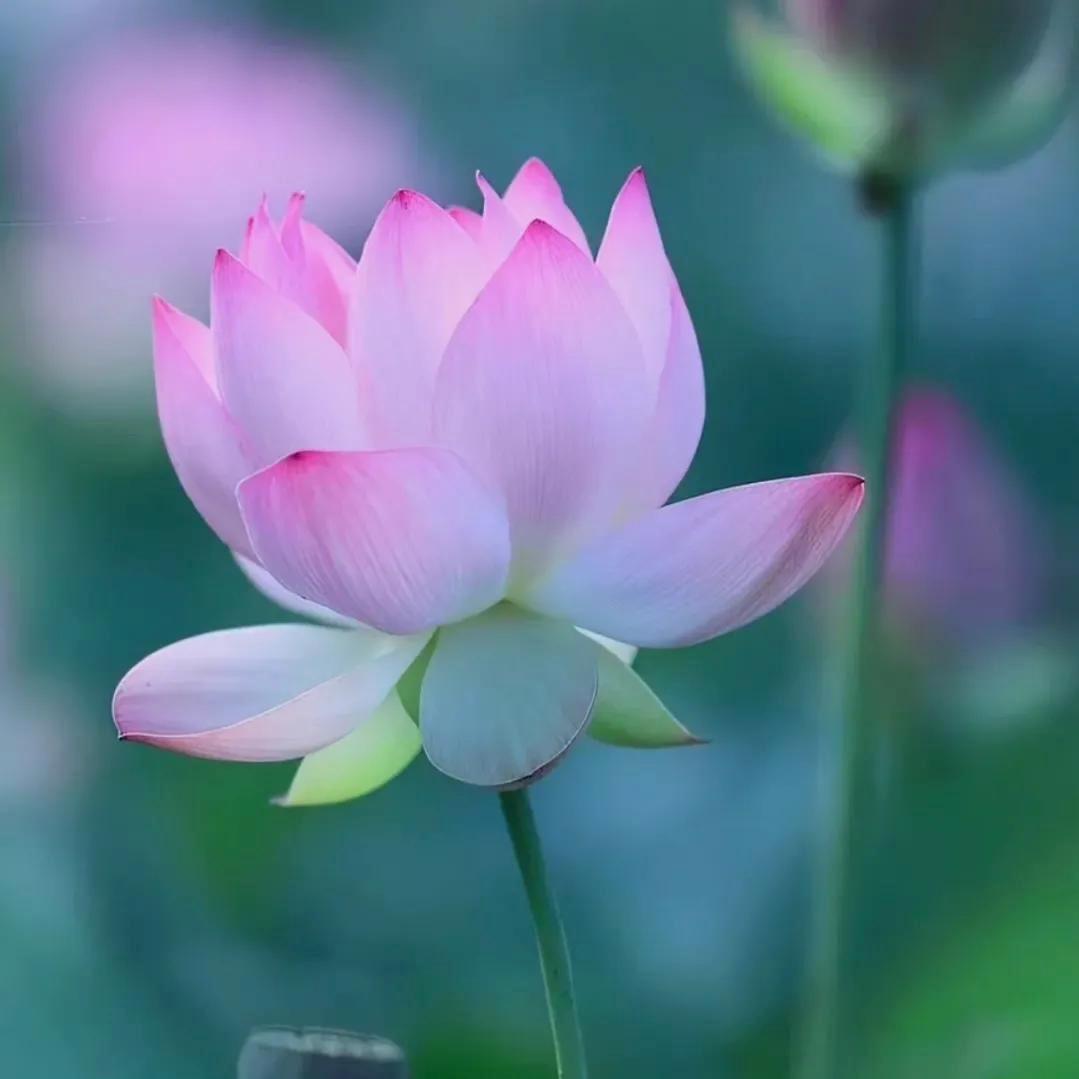 开心每一天、