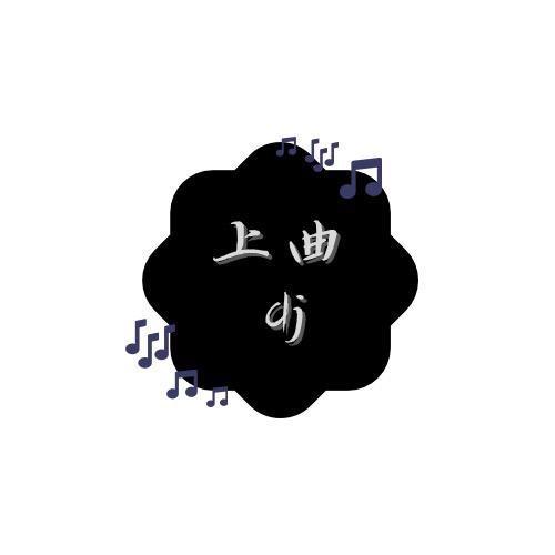 上曲dj《优盘私信下单》
