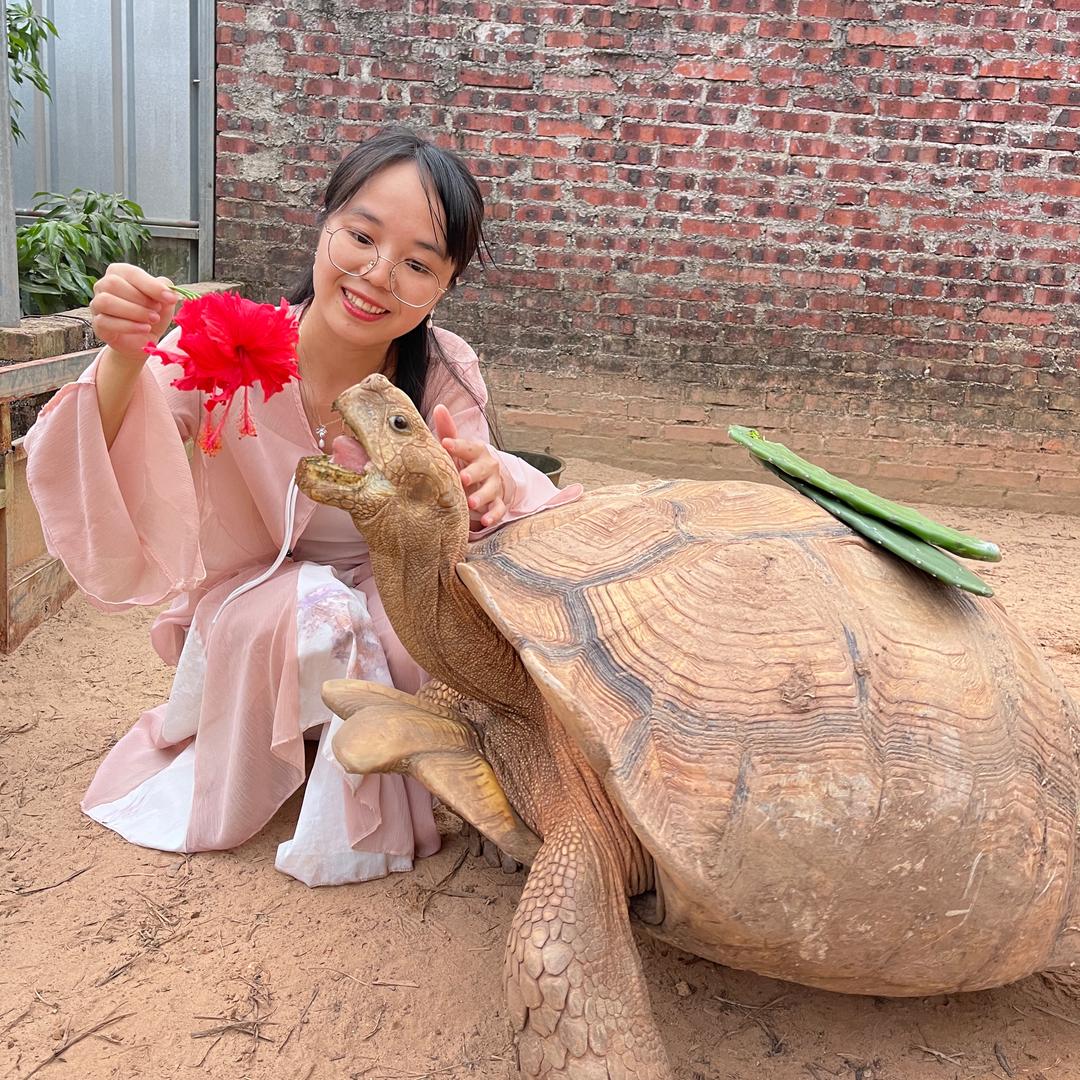 小熊的乡村养龟日常