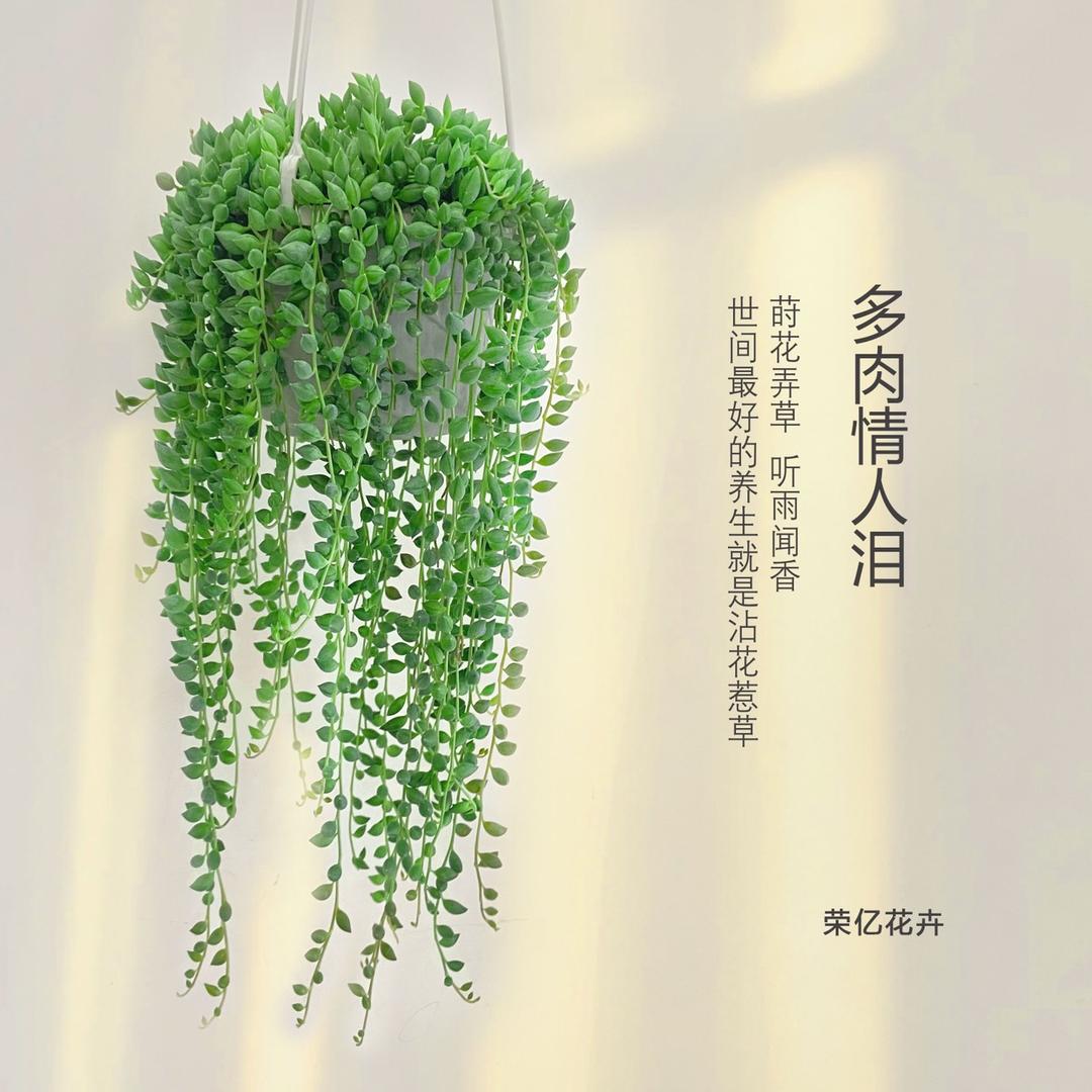 荣亿花卉