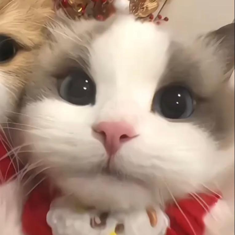 百事有可乐