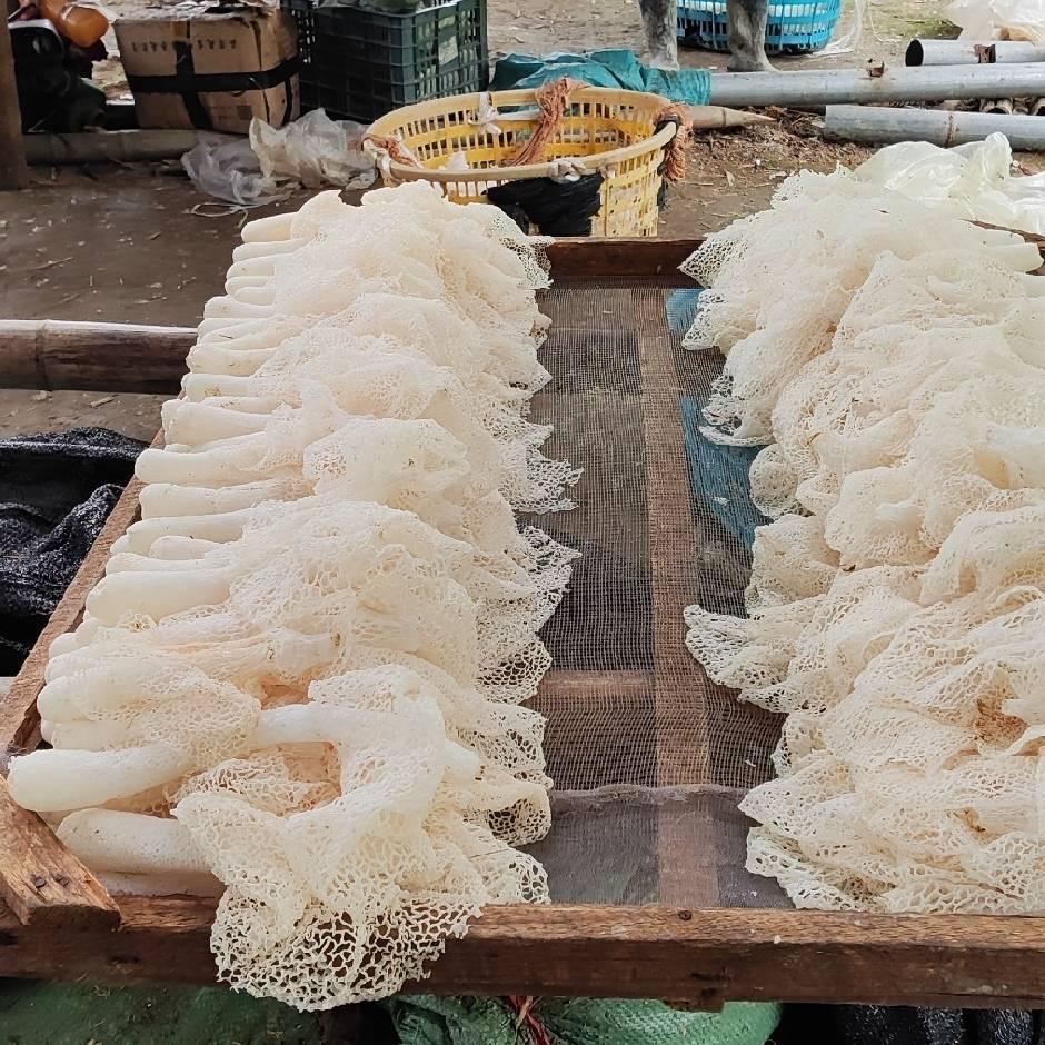 老爸老妈自己种的农产品