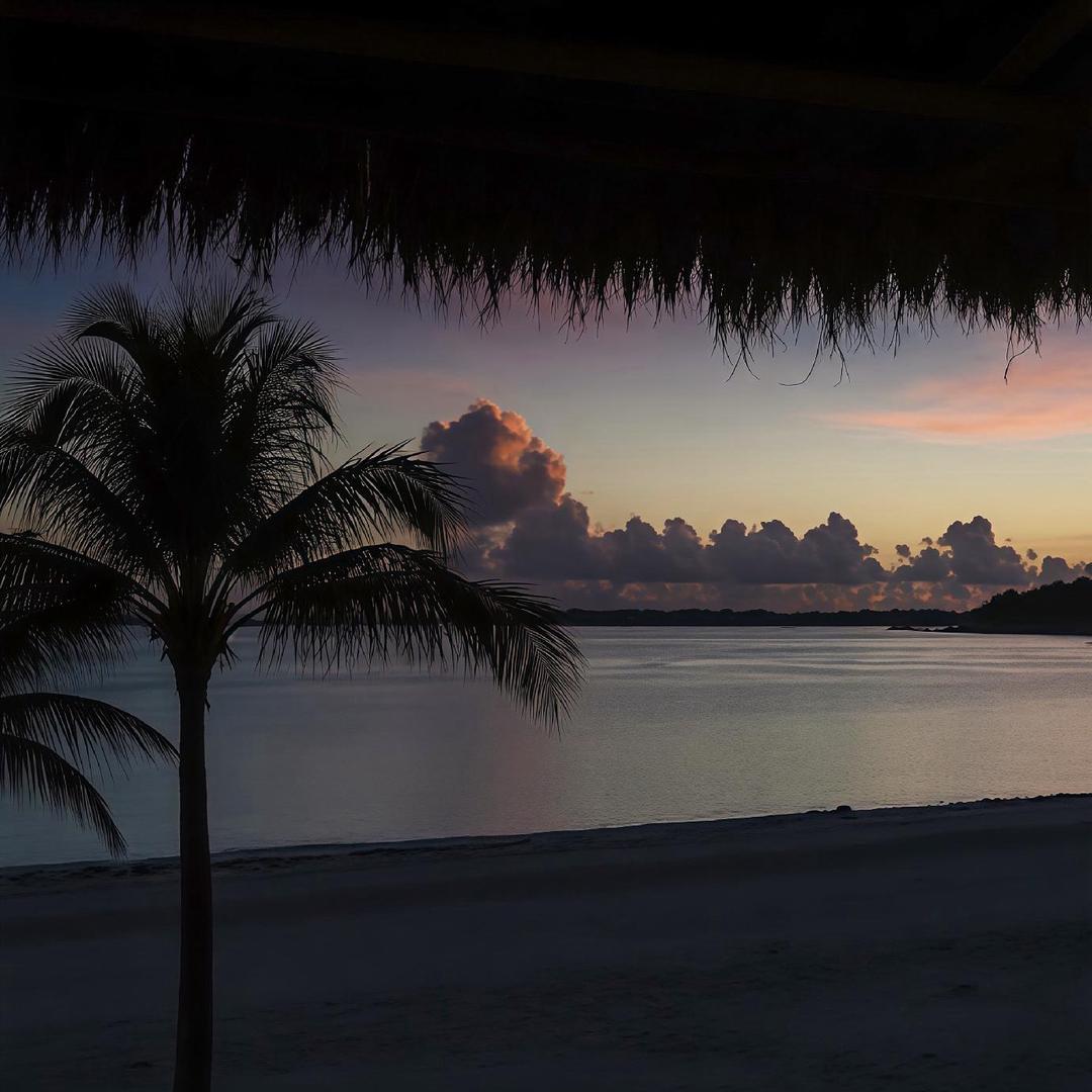 钱多多￴￴ ￴ ￴