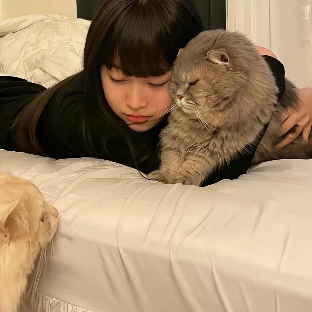 土豆泥泥泥