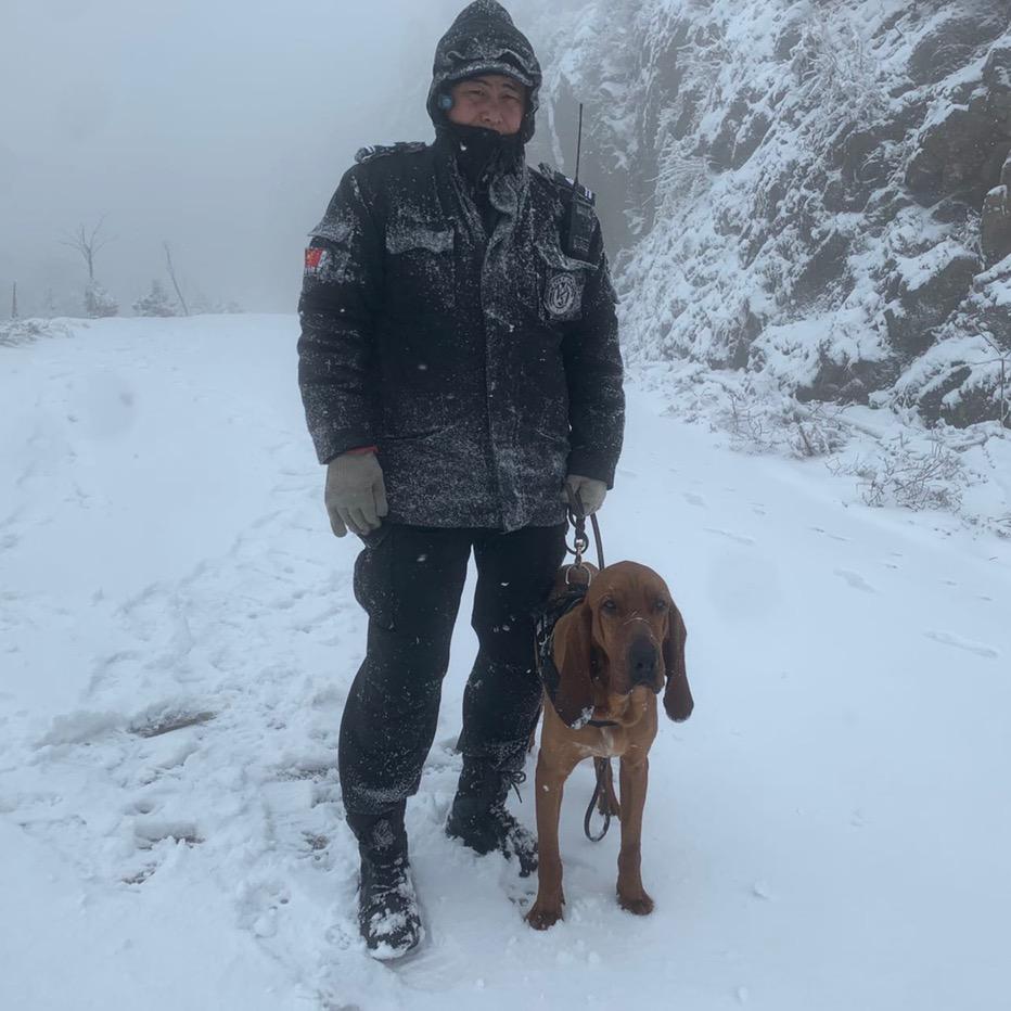 杨平JQ技术——实战追踪犬培训