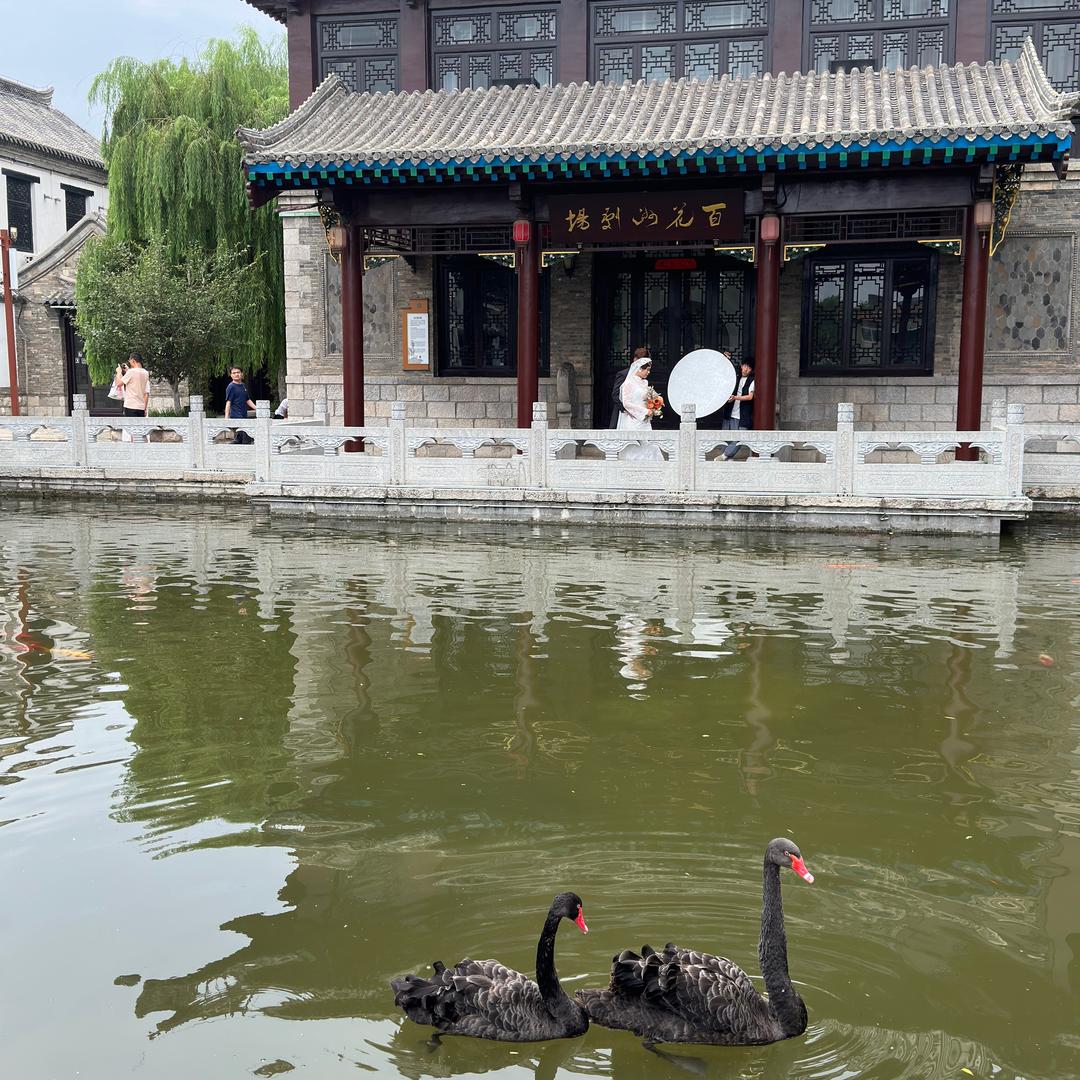 青岛东风南方启辰万达店