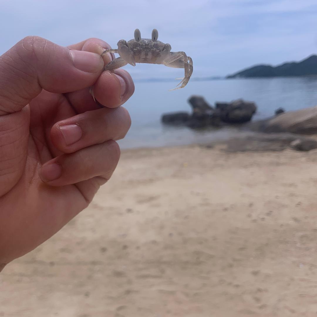 嗯哼