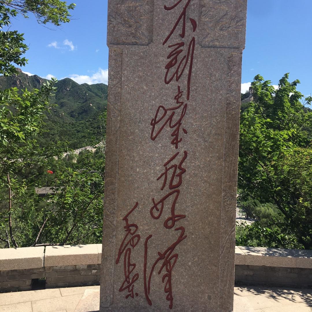 挚友