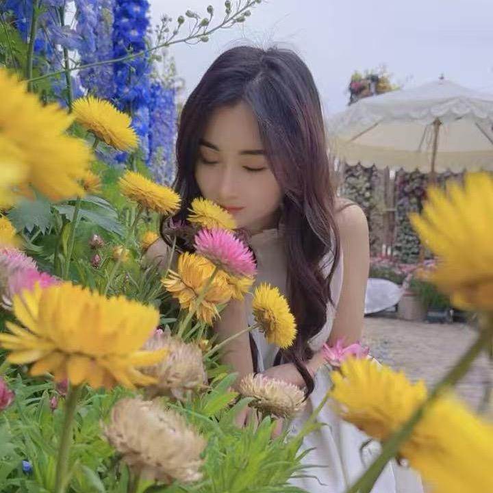 小蜜蜂儿