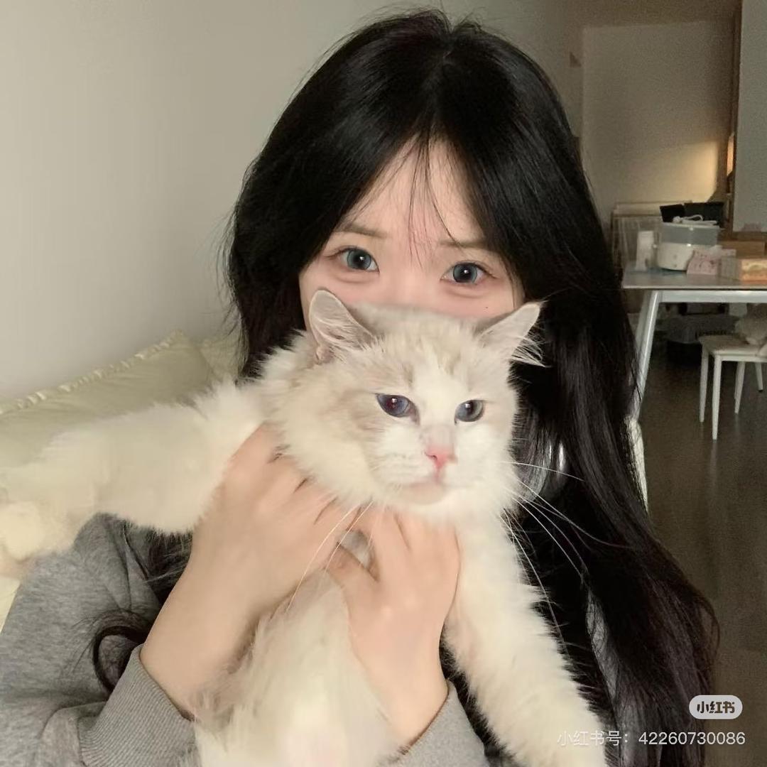 小楠呀💞