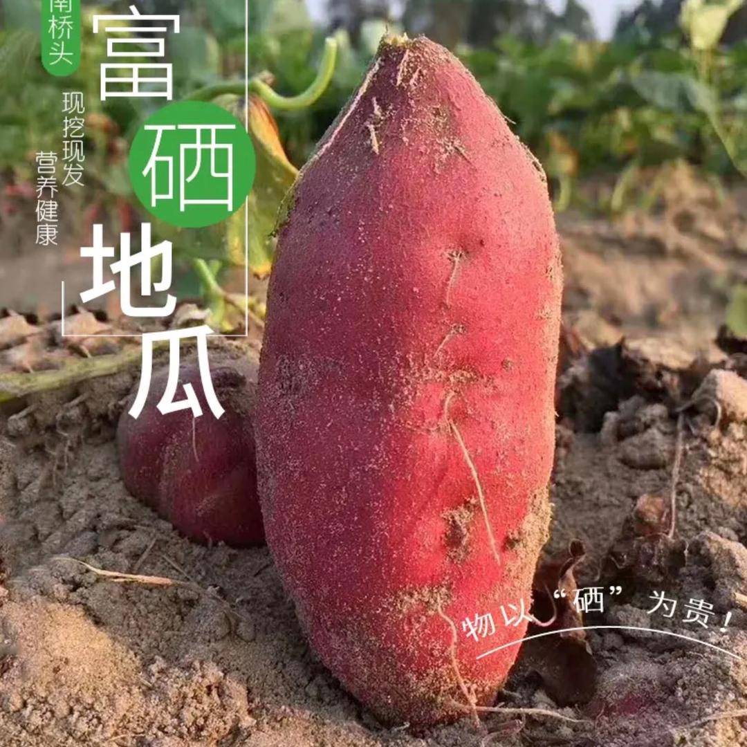 桥薯人家