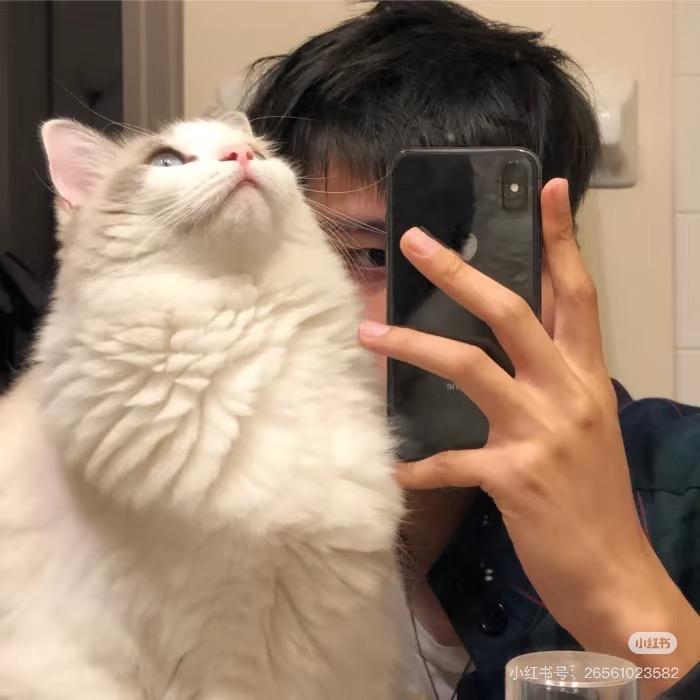 早上起不来
