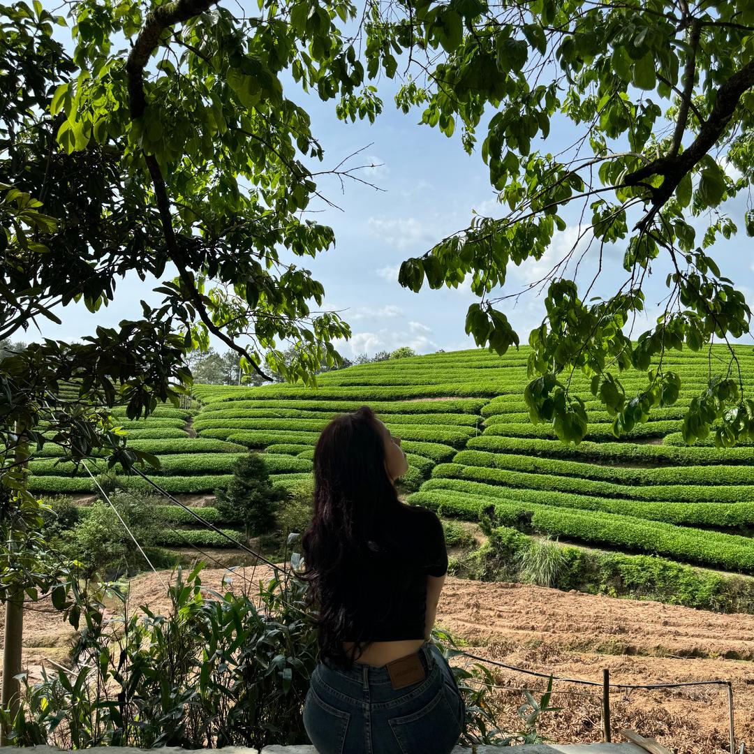 岩茶小快乐（聊天号）