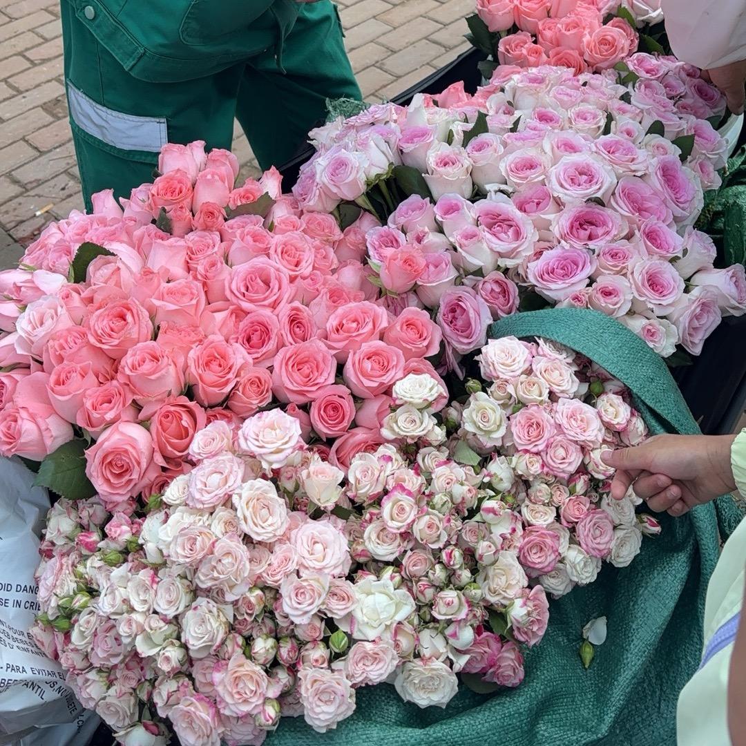 阿妹
