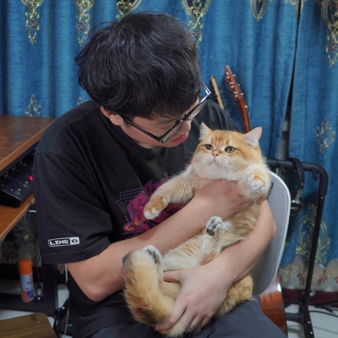 东财猫爱好者