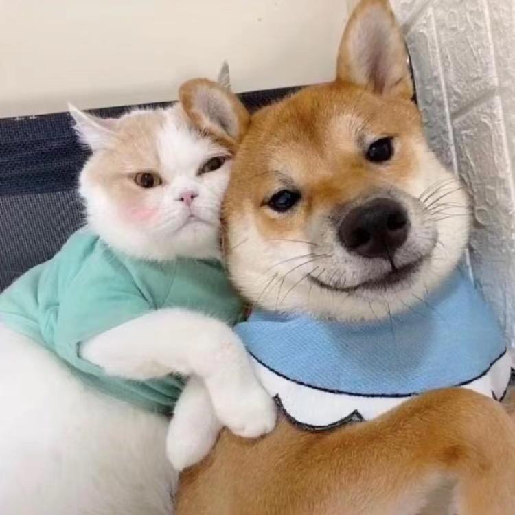 从来