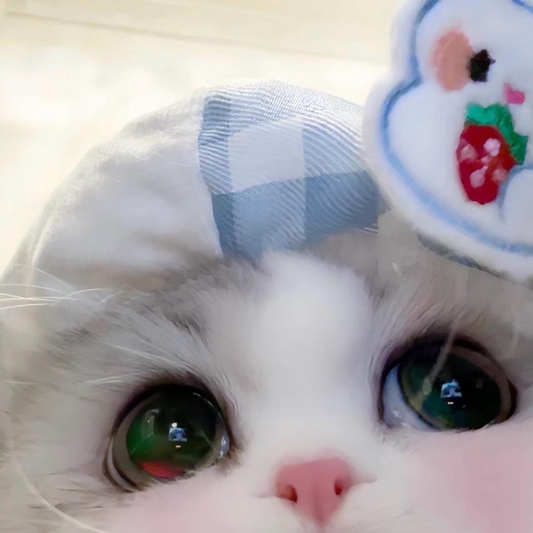 泡泡宝宝