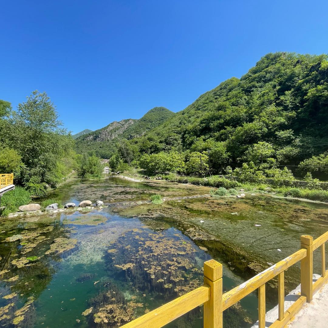 开心果爱旅游