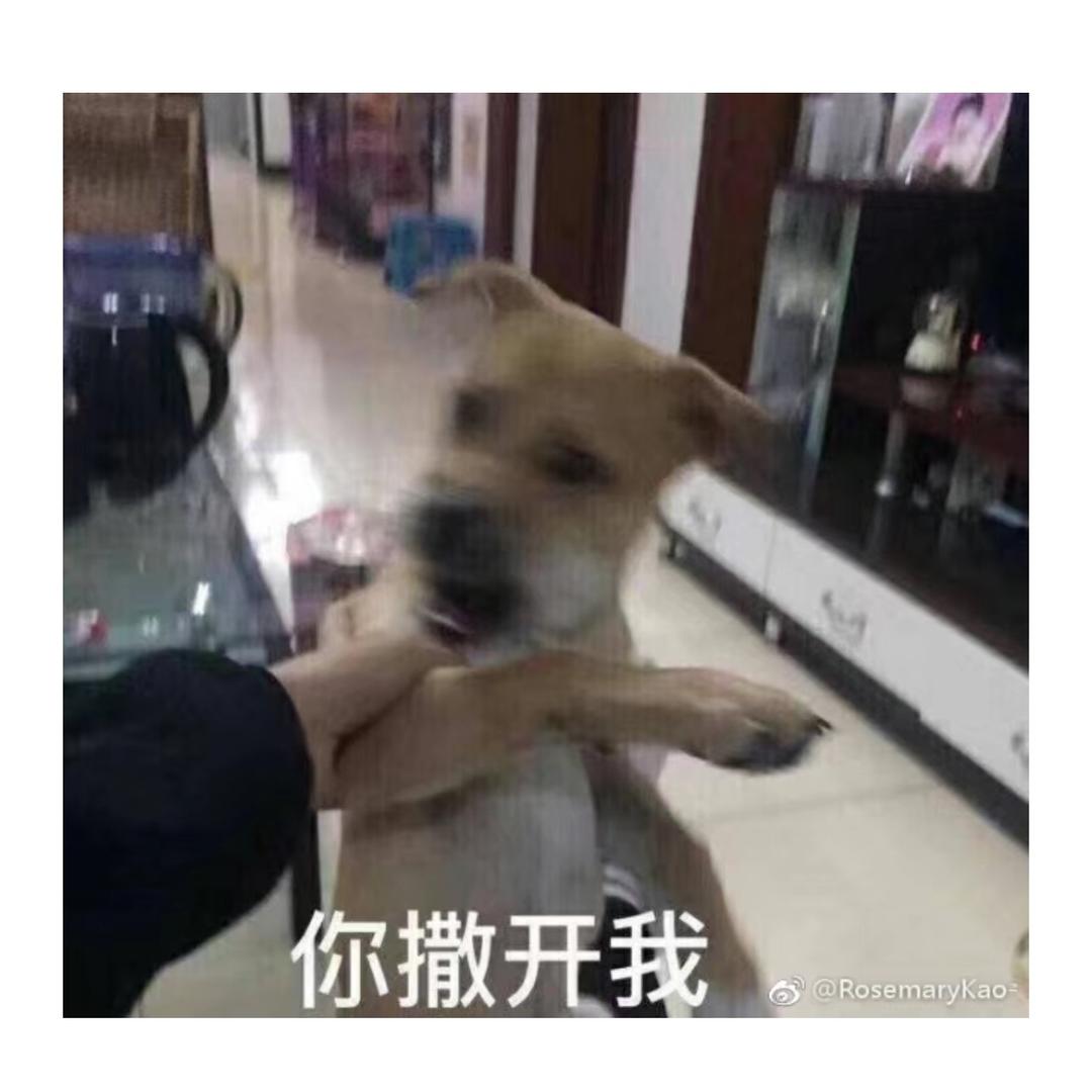 小明🫡