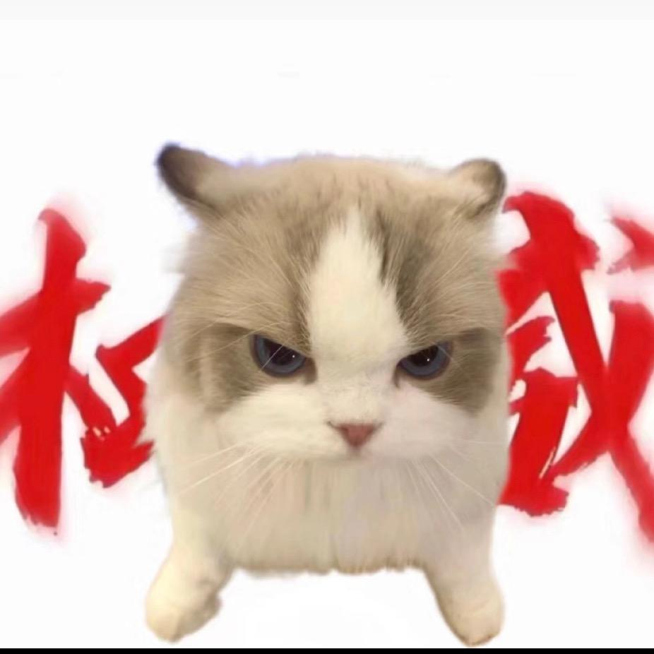 ໒꒰ྀིㅇㅁㅇ꒱ྀི১