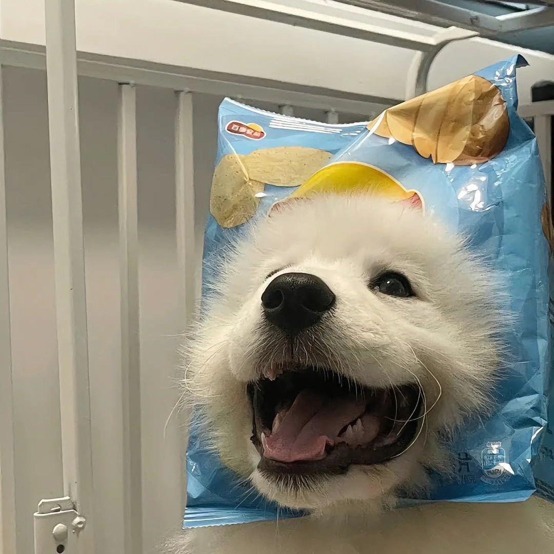 今天练琴了吗