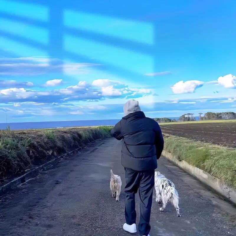 南京商捷通达系统专业服务