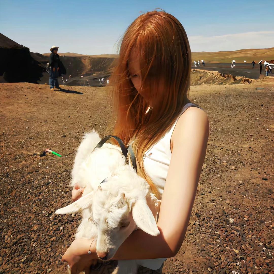iixyang_1