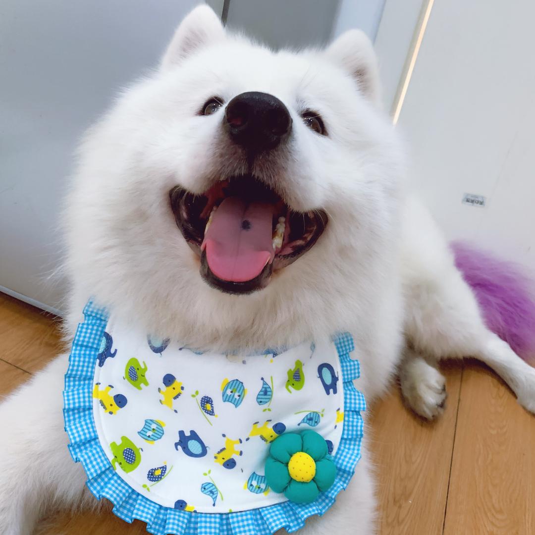 唐 🍬小 爱
