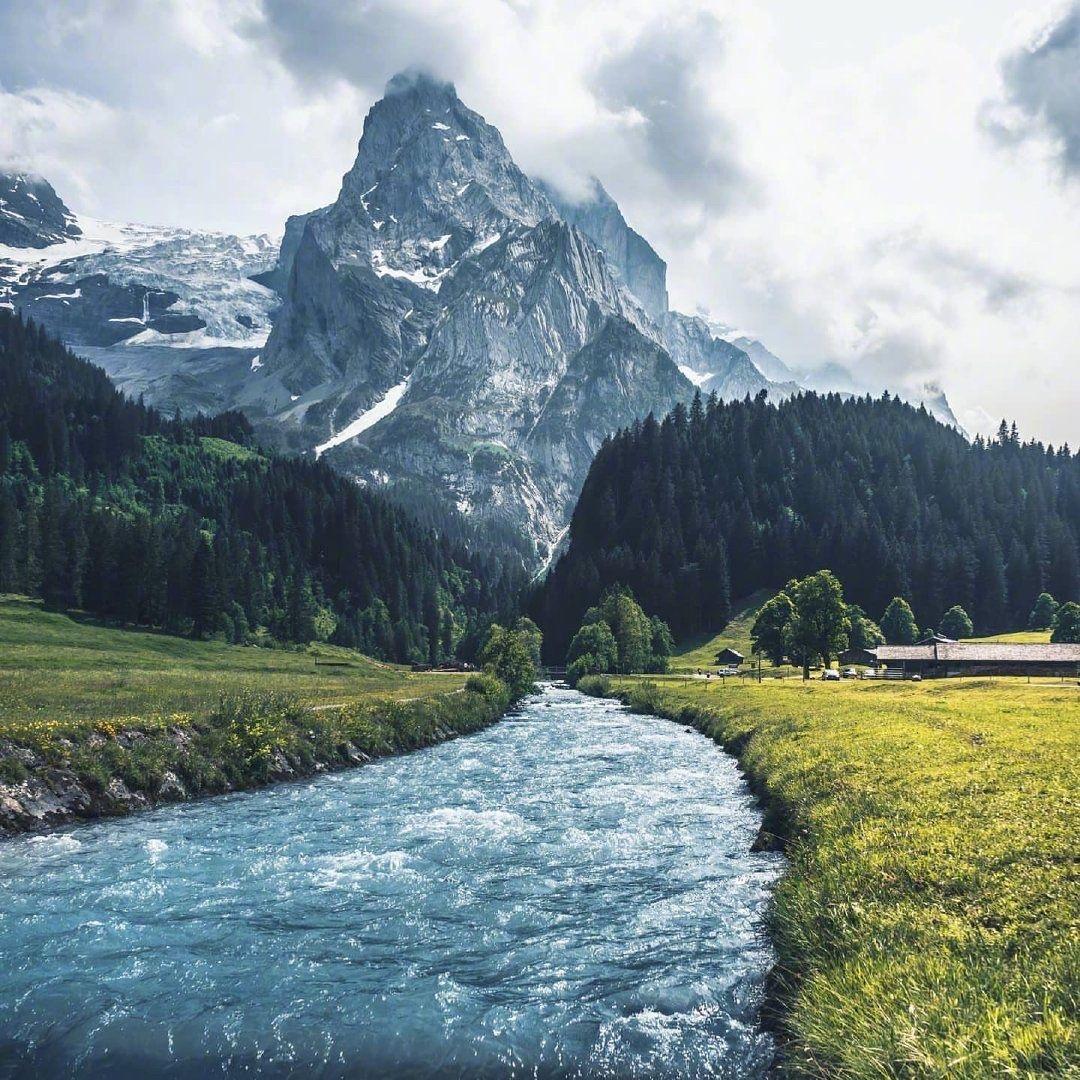 故里（🐱星辰大海版）