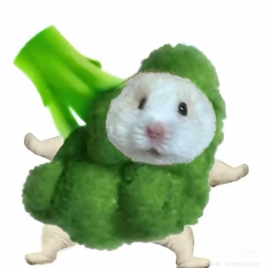向月葵葵