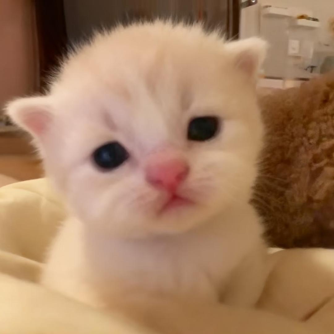 因为懒点满了宅属性