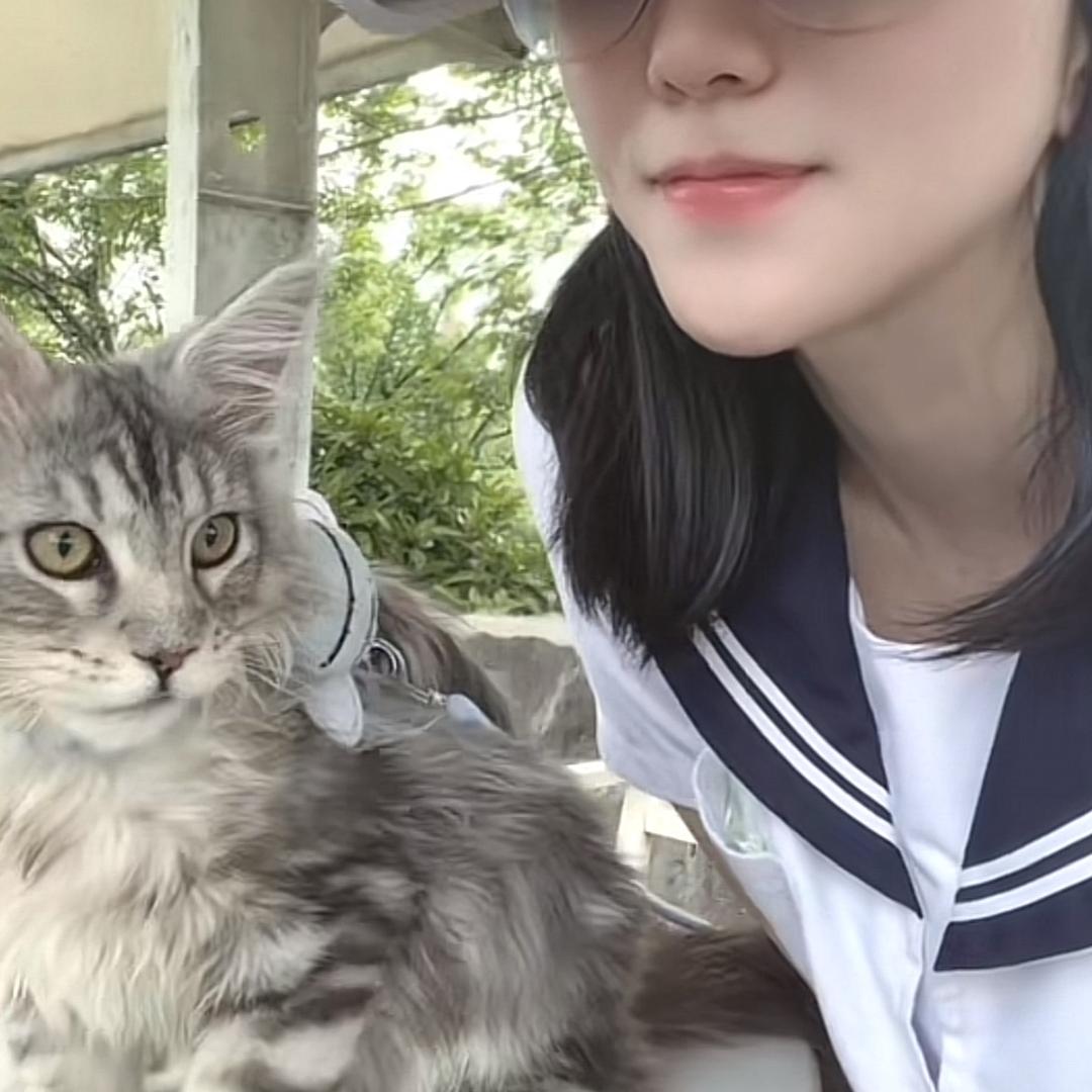 小里海里是猫