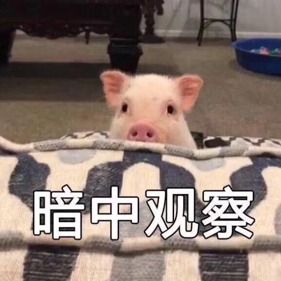 只是为了我的心情愉悦