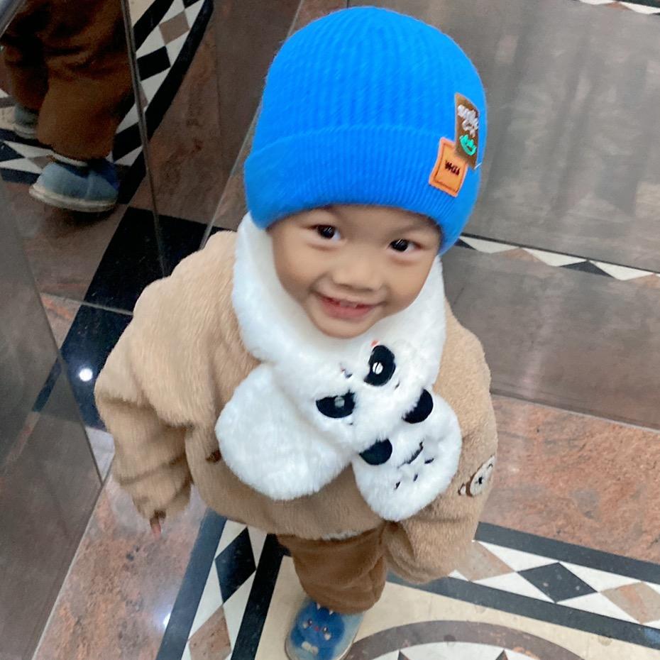 小小只阳崽儿