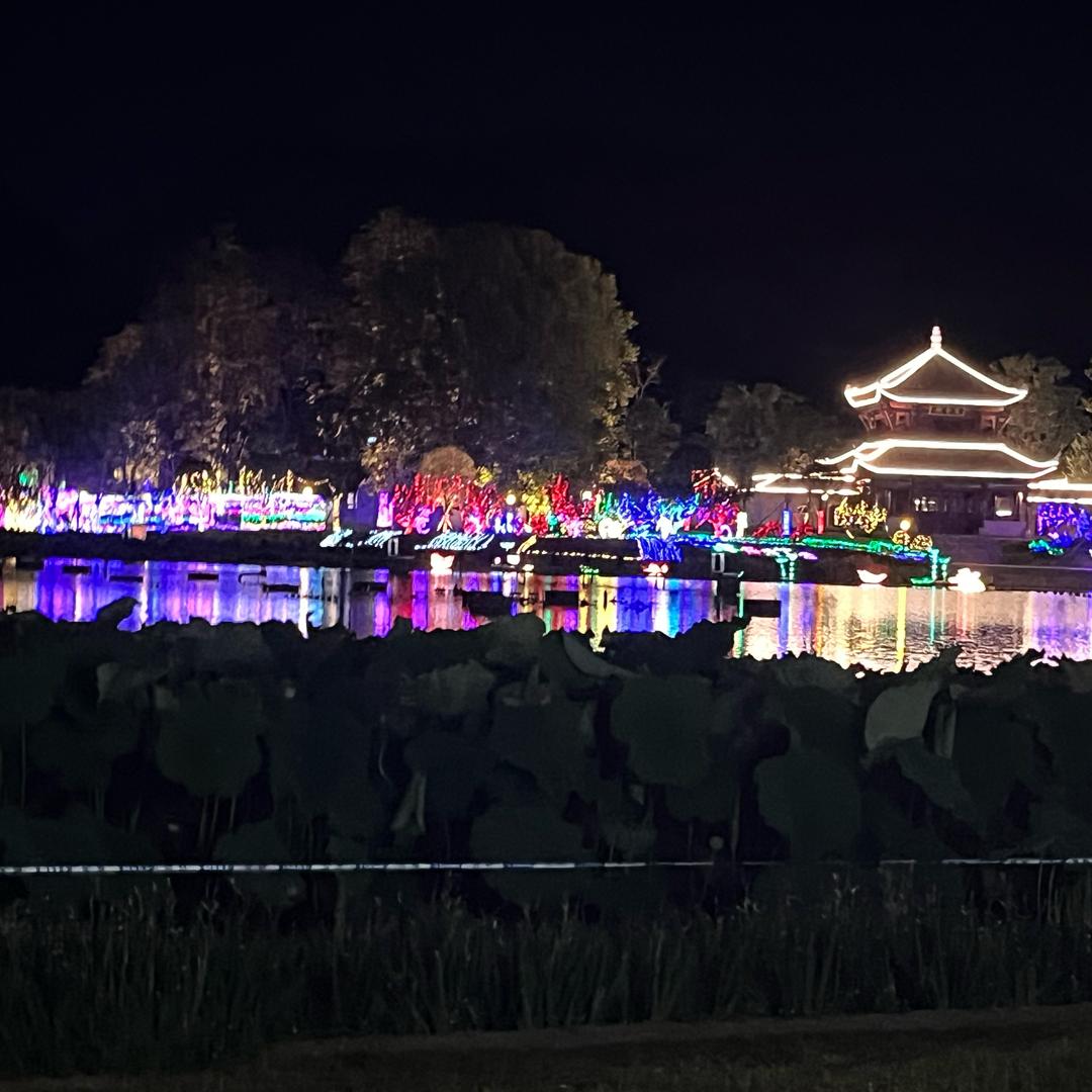 🐰钱兔似锦🐰