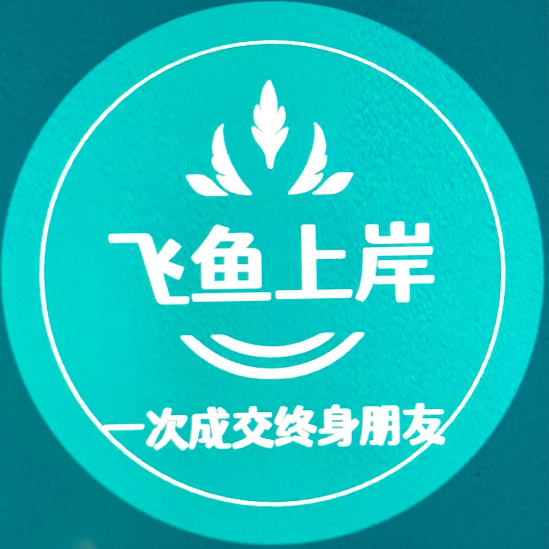 飞鱼上岸-上岸渔具