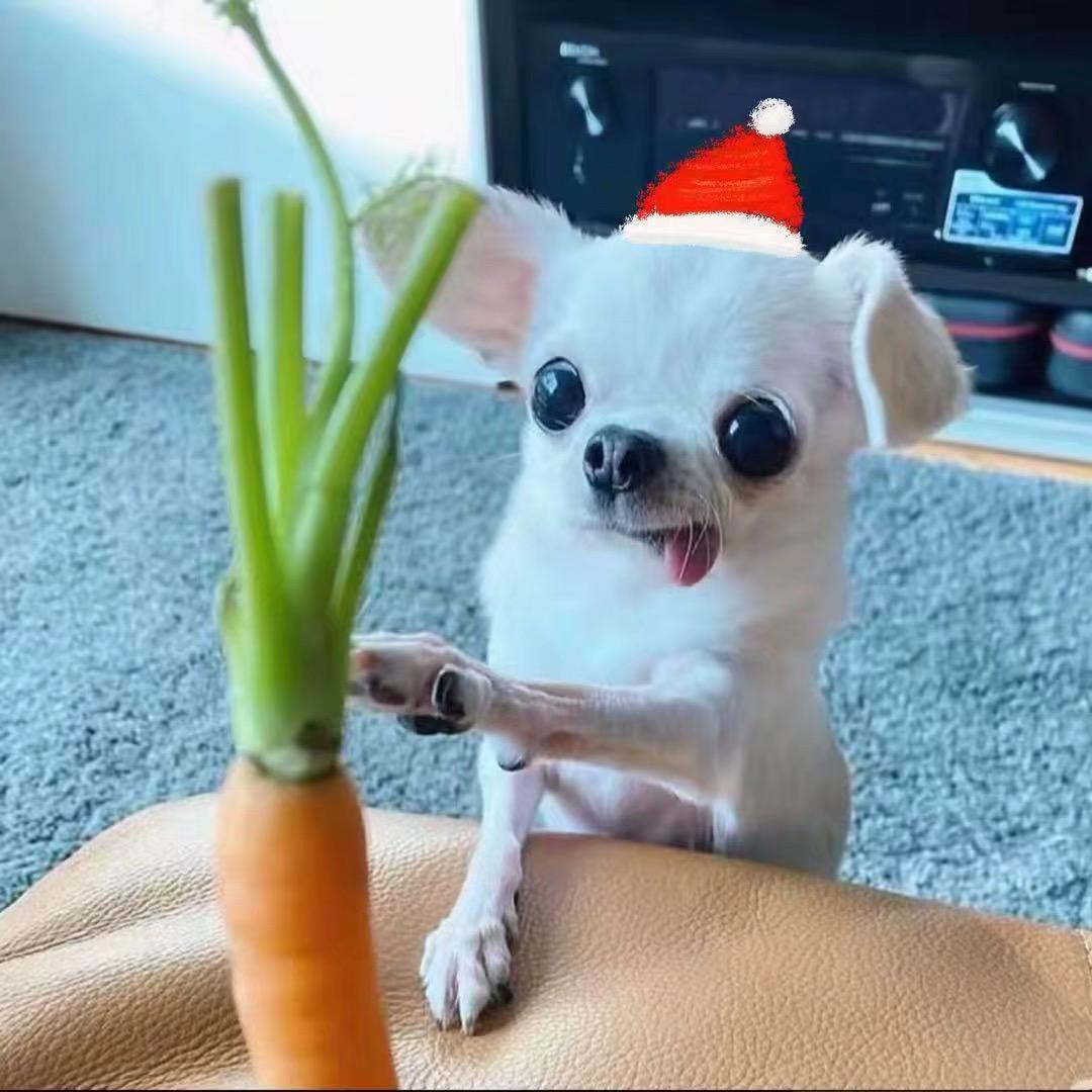 说我萌地我认了^_