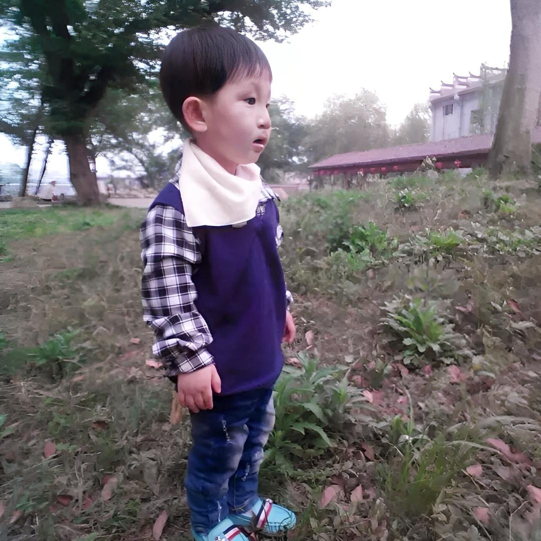 所求皆所愿