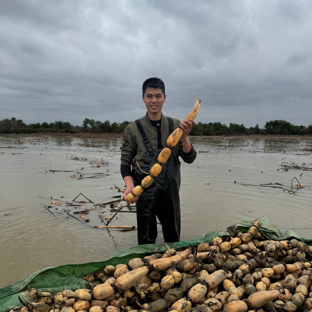 小江农产品(产地直发)