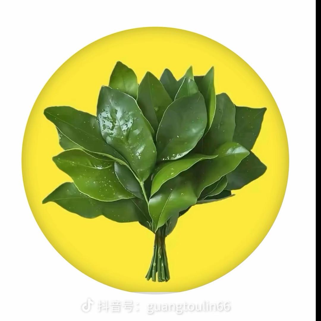 ᥫ喜樂ᩣ༠°🕊️