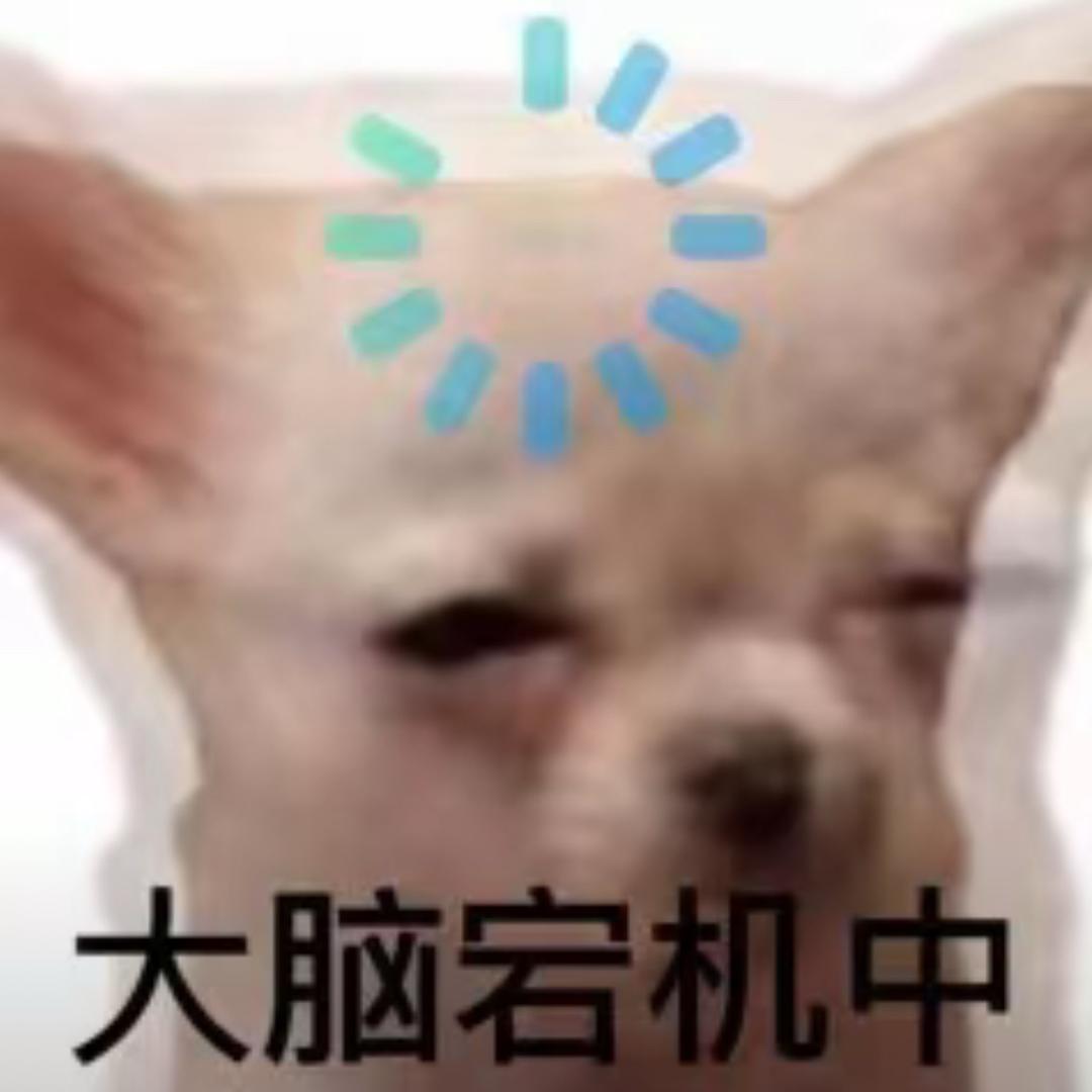 小鱼🌊