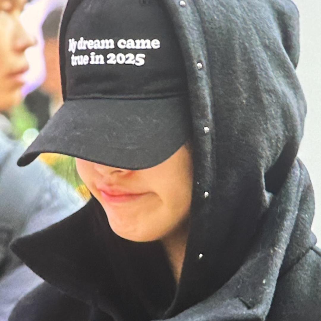 댕댕이 pro