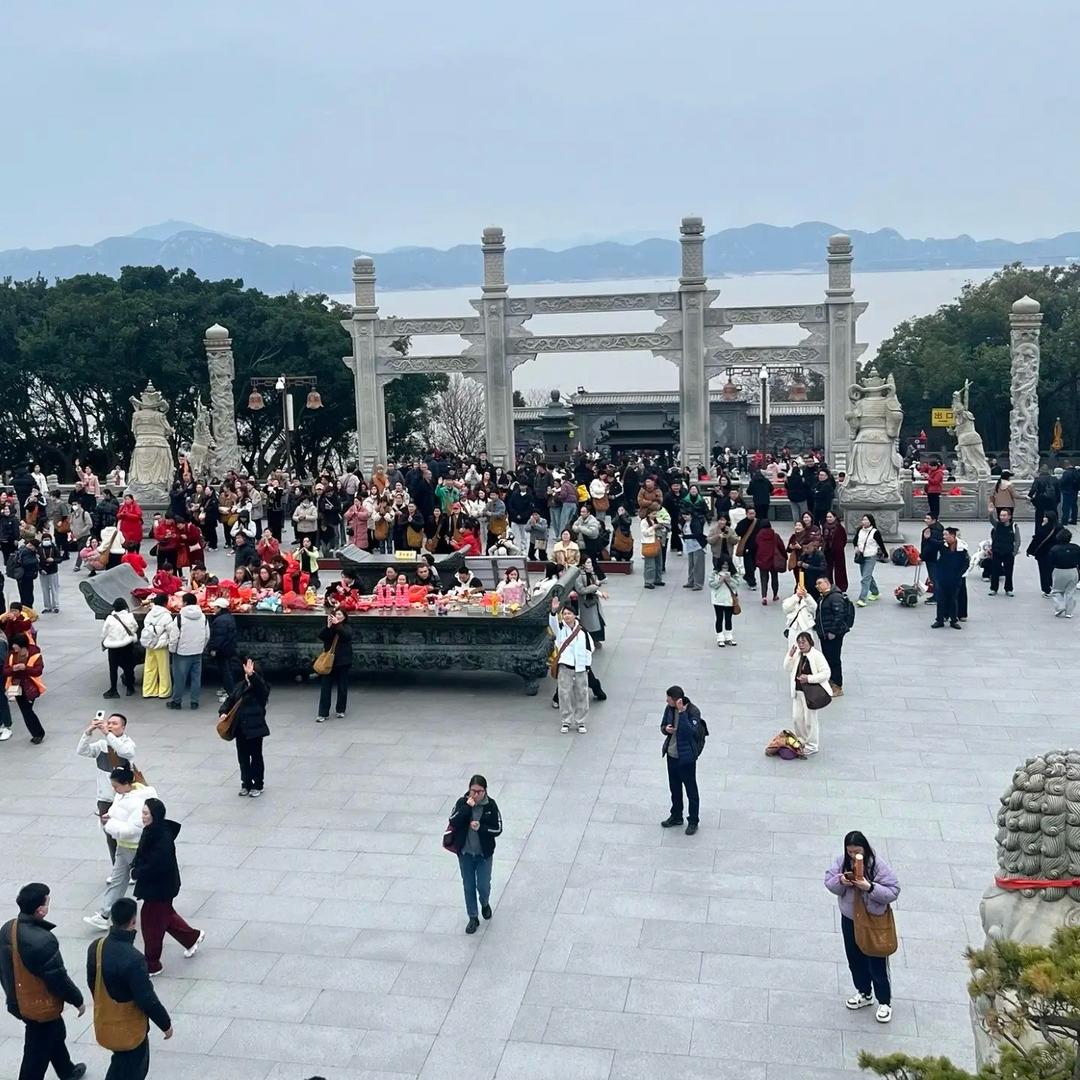 🌲就业安排