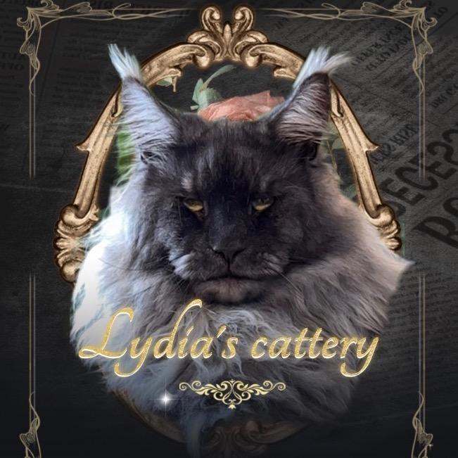 Lydia的缅因猫cattery