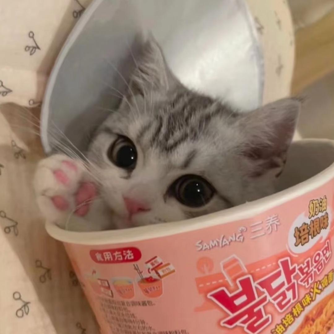 比得兔^