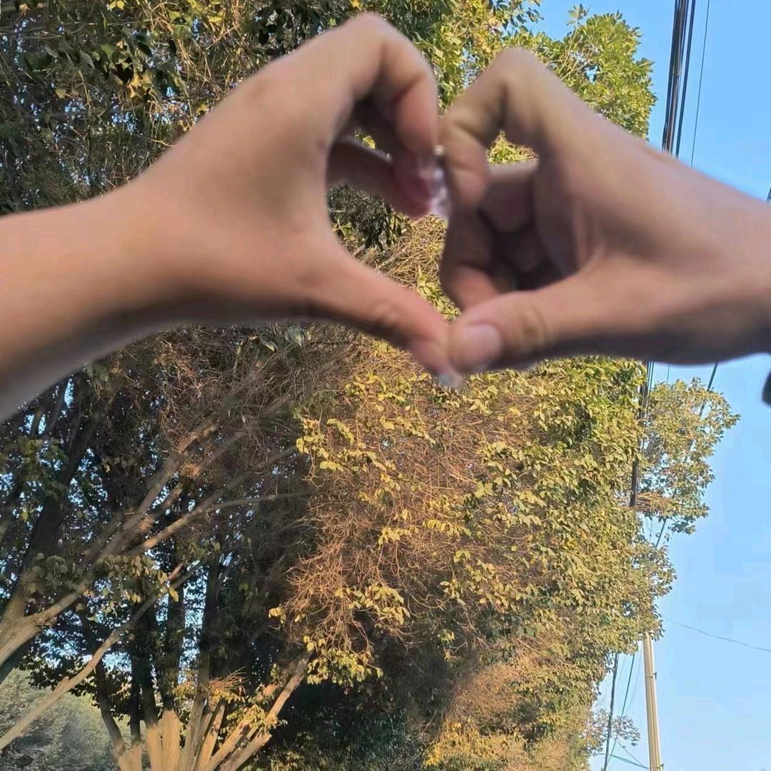 👍Sǎη_____ΥáΜǎn
