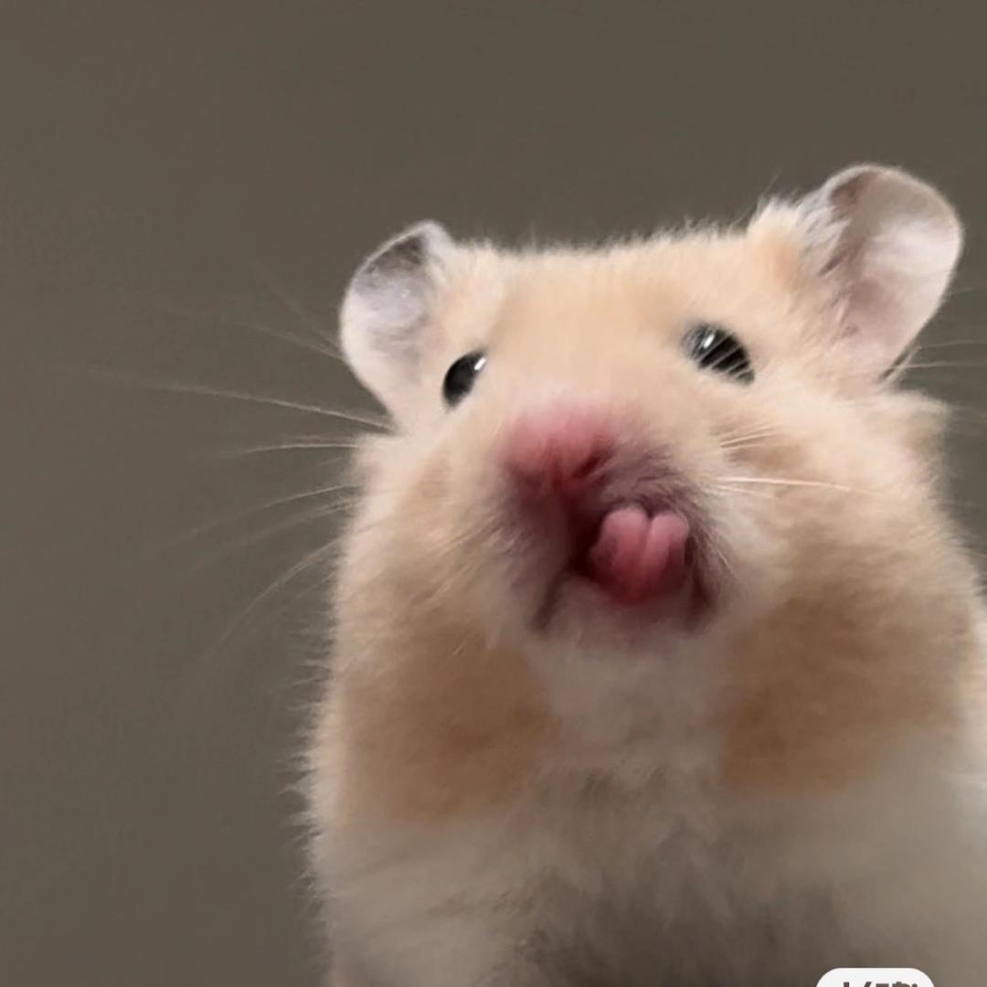 家有二鼠（养成版）