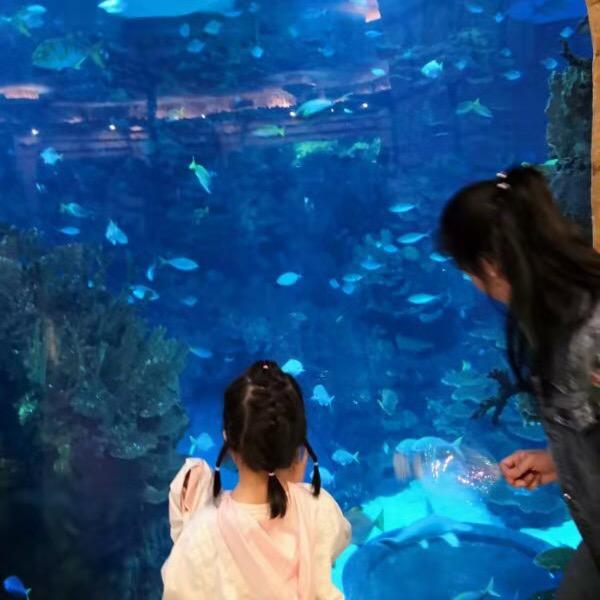 浅浅时光