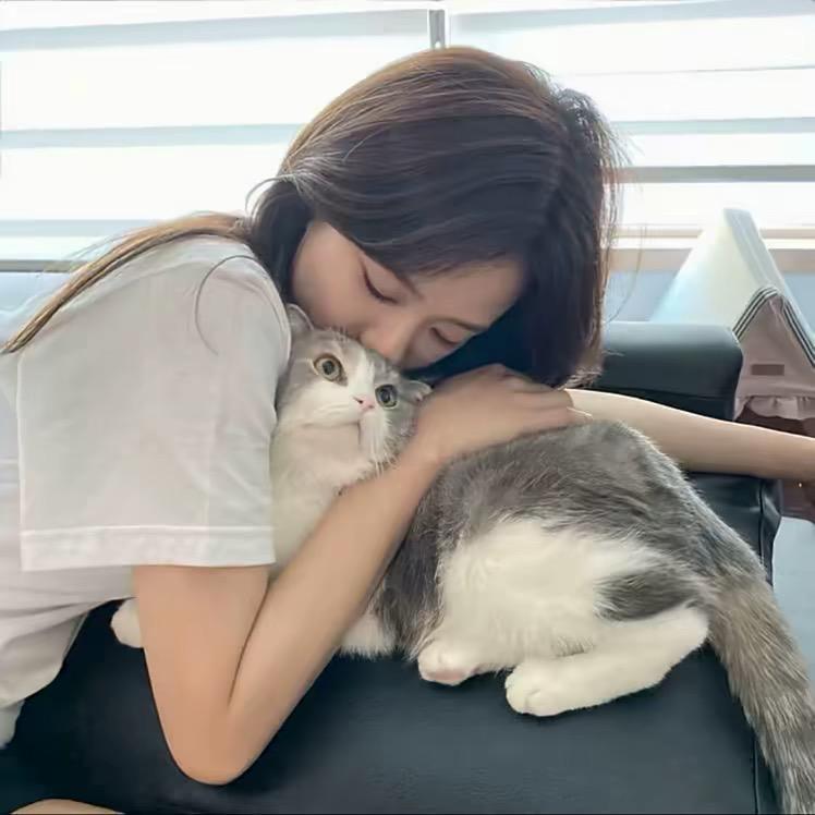 养只爱你de猫